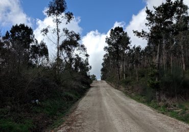 Camino de Santiago – Part 3